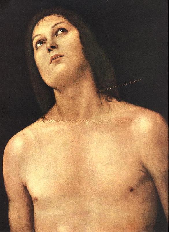 PERUGINO, Pietro Bust of St. Sebastian sg oil painting image